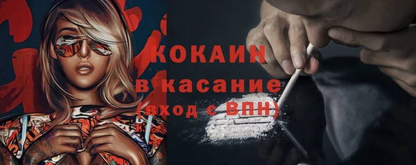 индика Бугульма
