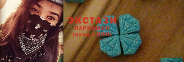 индика Бугульма