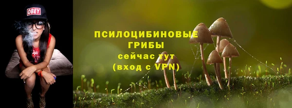 первитин Бородино
