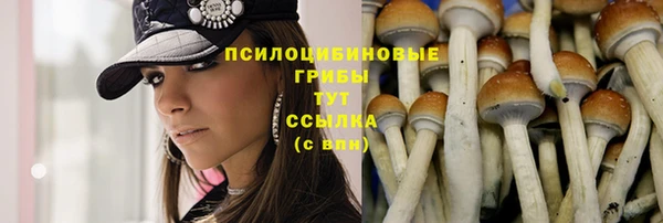 индика Бугульма