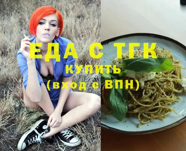 индика Бугульма