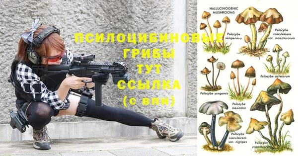 первитин Бородино