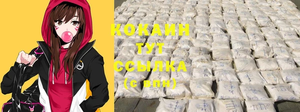 индика Бугульма