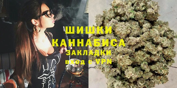 индика Бугульма