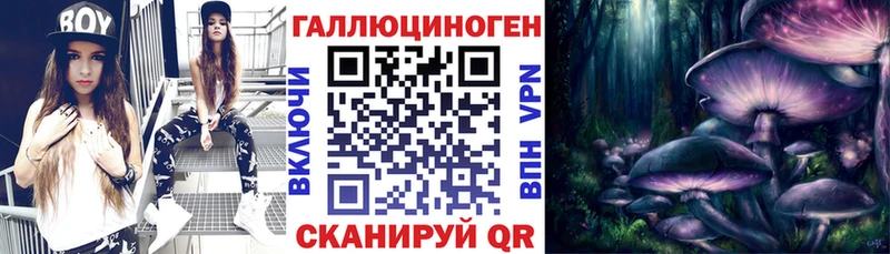 блэк спрут как зайти  Камбарка  Псилоцибиновые грибы Magic Shrooms  наркота 